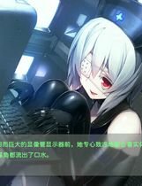 A2017 - 凍京NECRO 冻京necro Tokyo Necro v1.01.20230311 免安装中文步兵版[7.56GB]