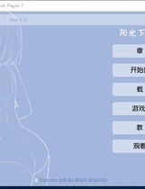 416 - 阳光下的真实 陽射しの中のリアル～Complement～简体中文汉化硬盘版