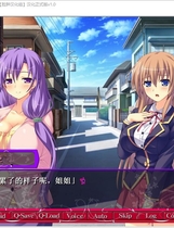 252 - 彼の為に出来ること 为了他所做的事情中文汉化硬盘版