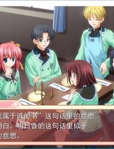 299 - Sakura 雪月华 花鳥風月プレミアムエディション中文汉化硬盘版